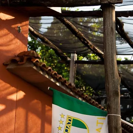 فندق مبيت وإفطار La Maison De Titty & Margherita بيانو دي سورينتو
